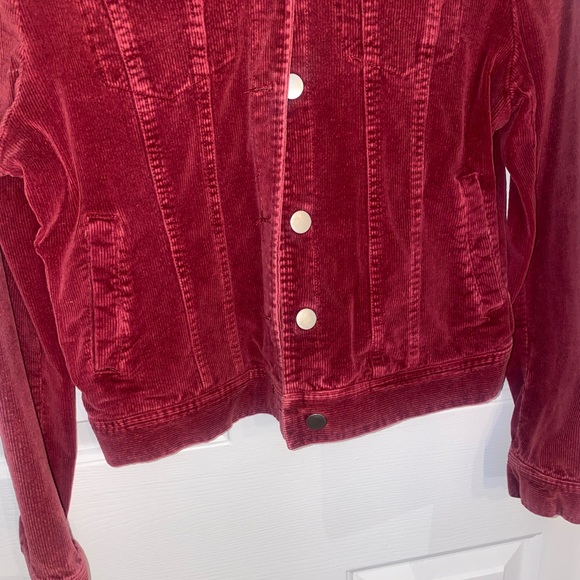 Red Corduroy Cropped Jacket - Picture 4 of 5
